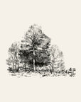 Walking home — Charlie Mackesy