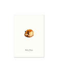 Sleeping fox