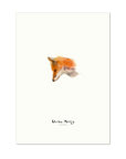 The fox