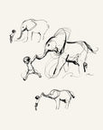 The boy and the elephant