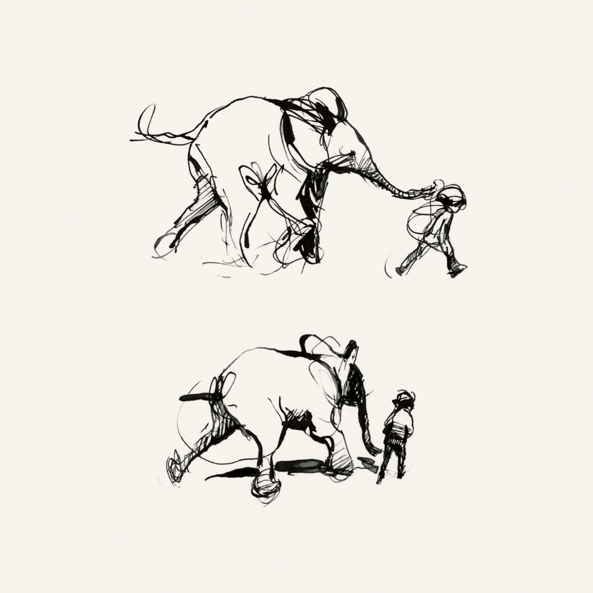 The boy running with the elephant