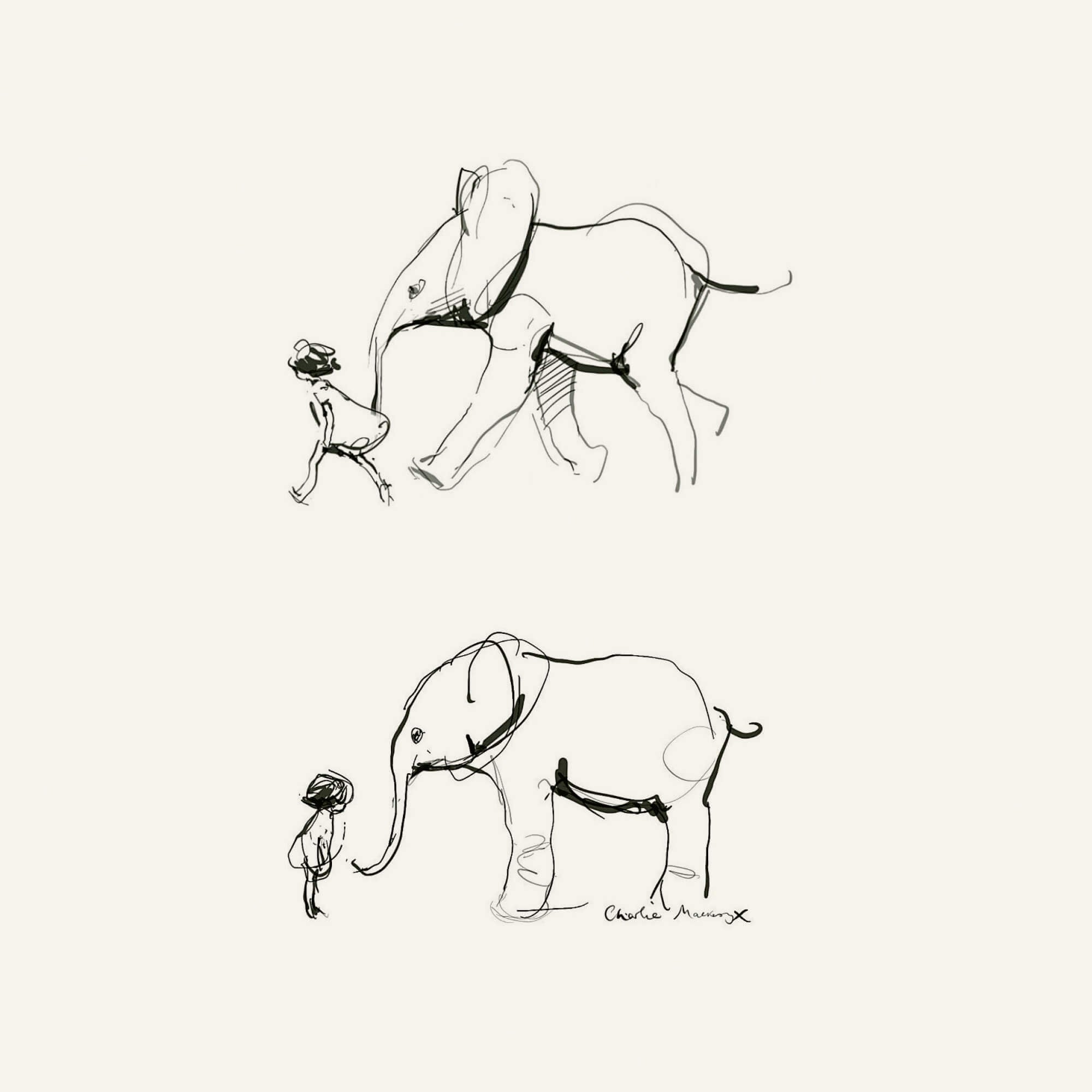 The elephant and the girl