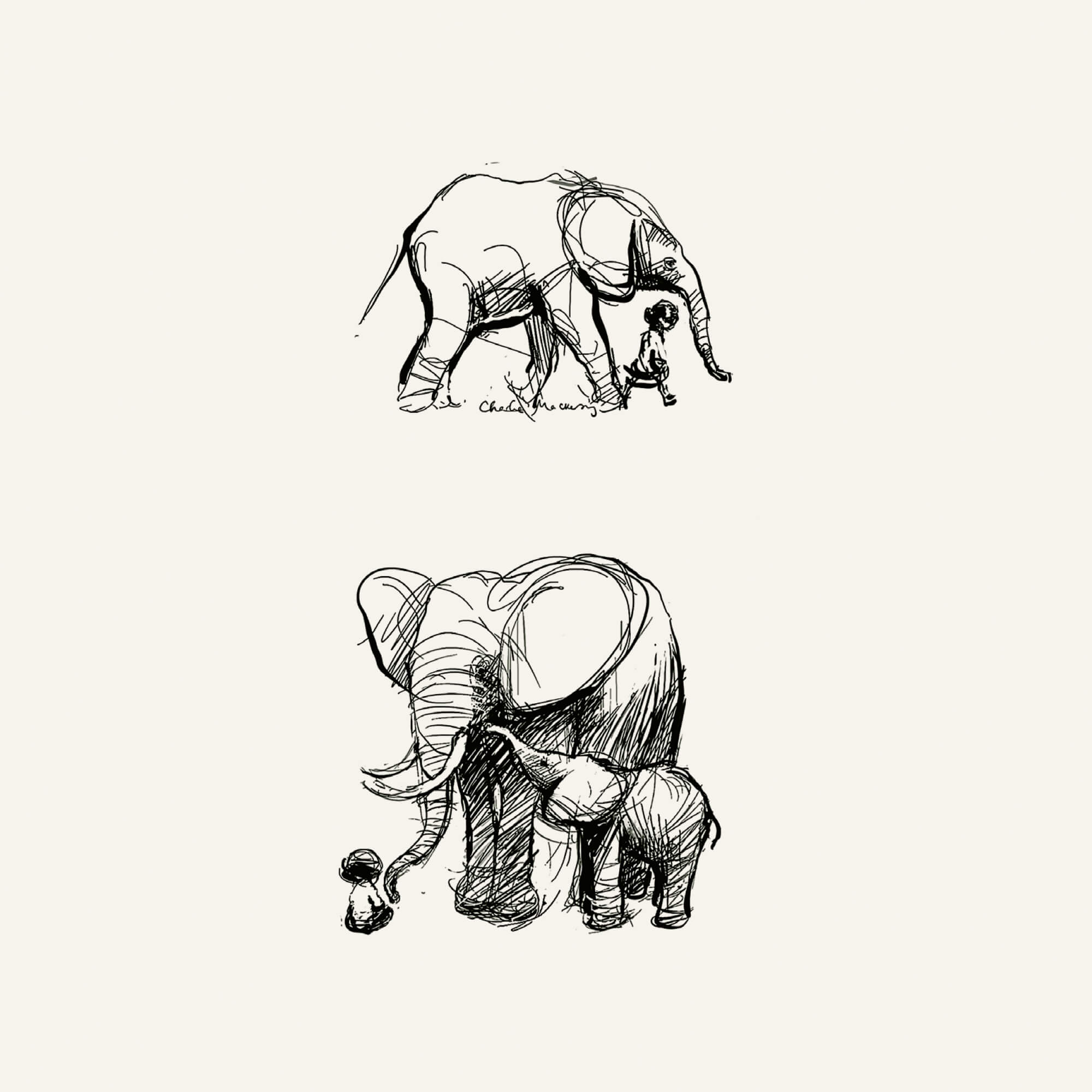 Gentle strength