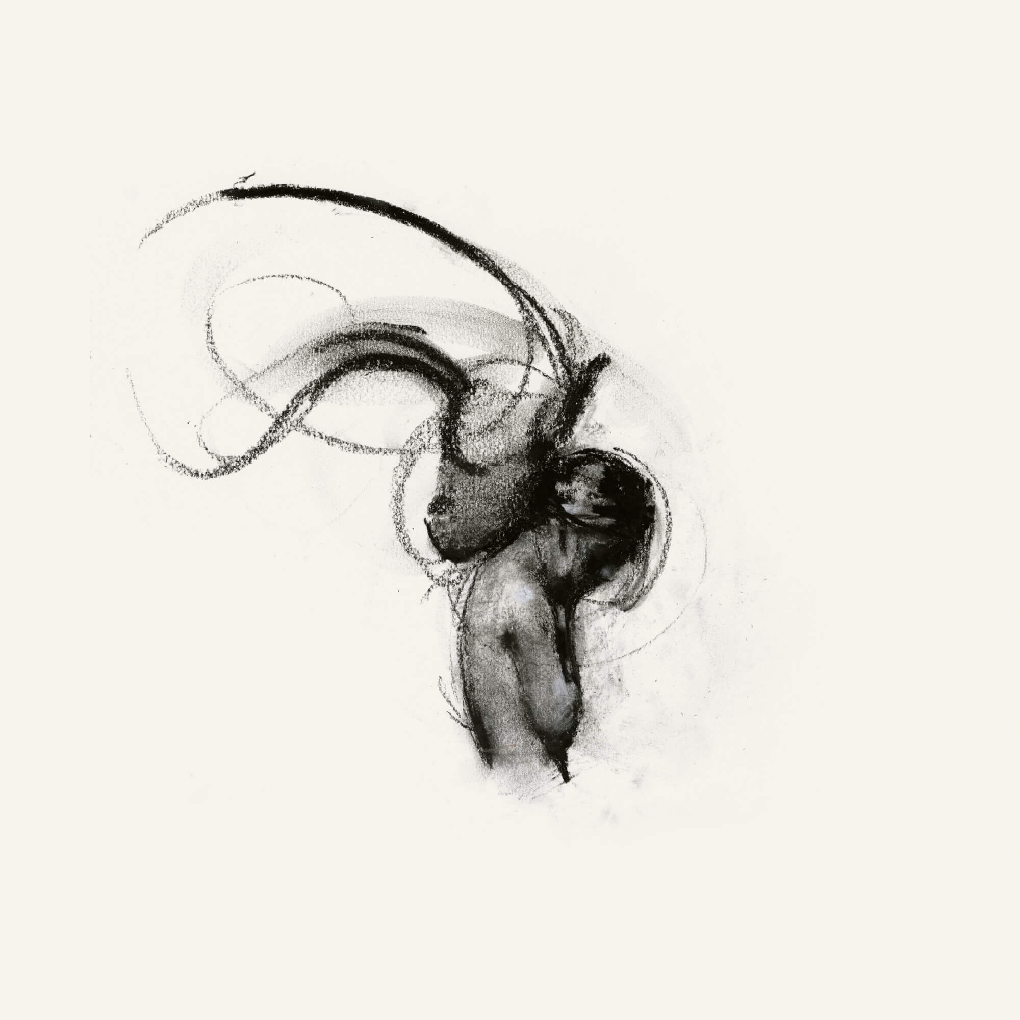 The horse and the girl