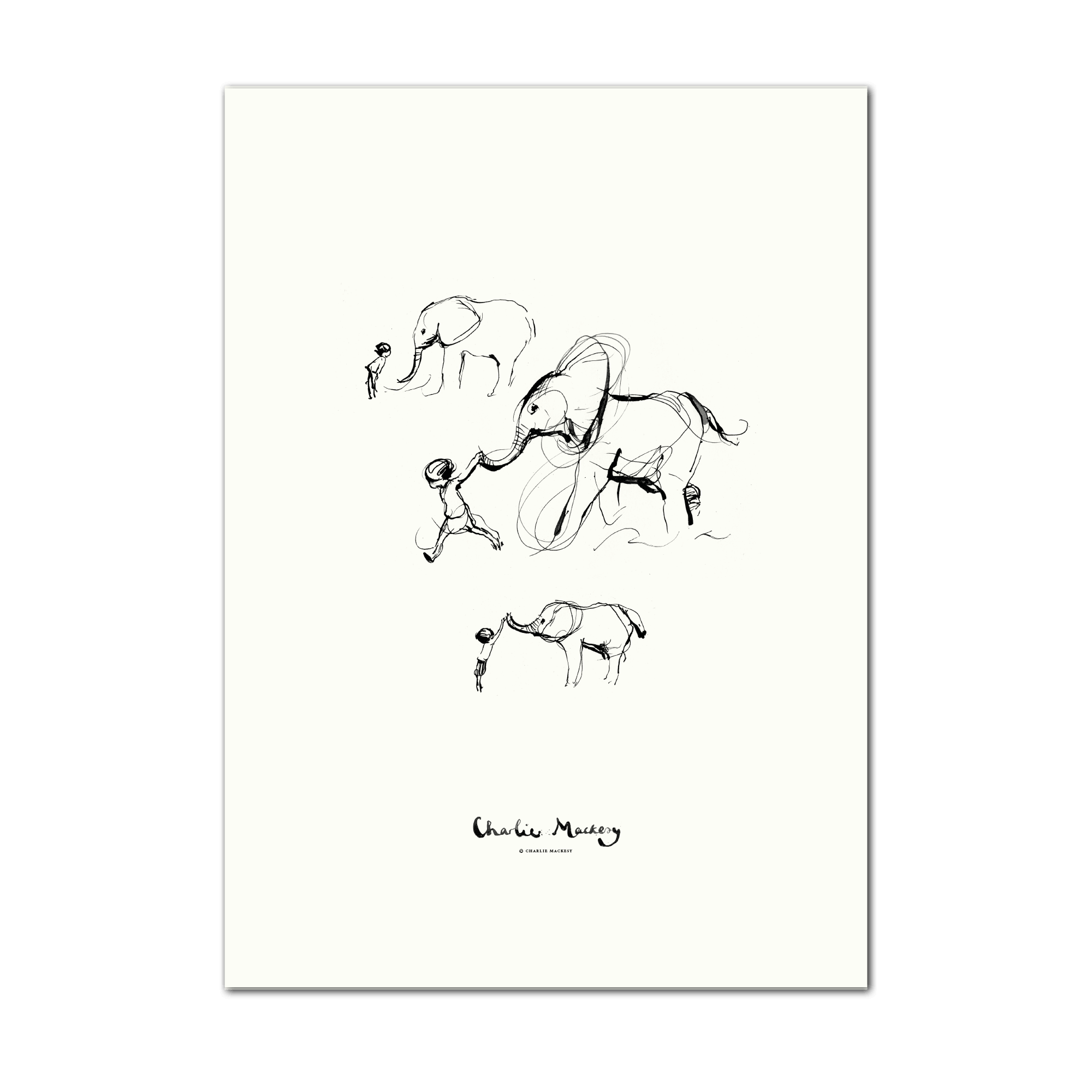 The boy and the elephant