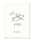 The boy and the elephant