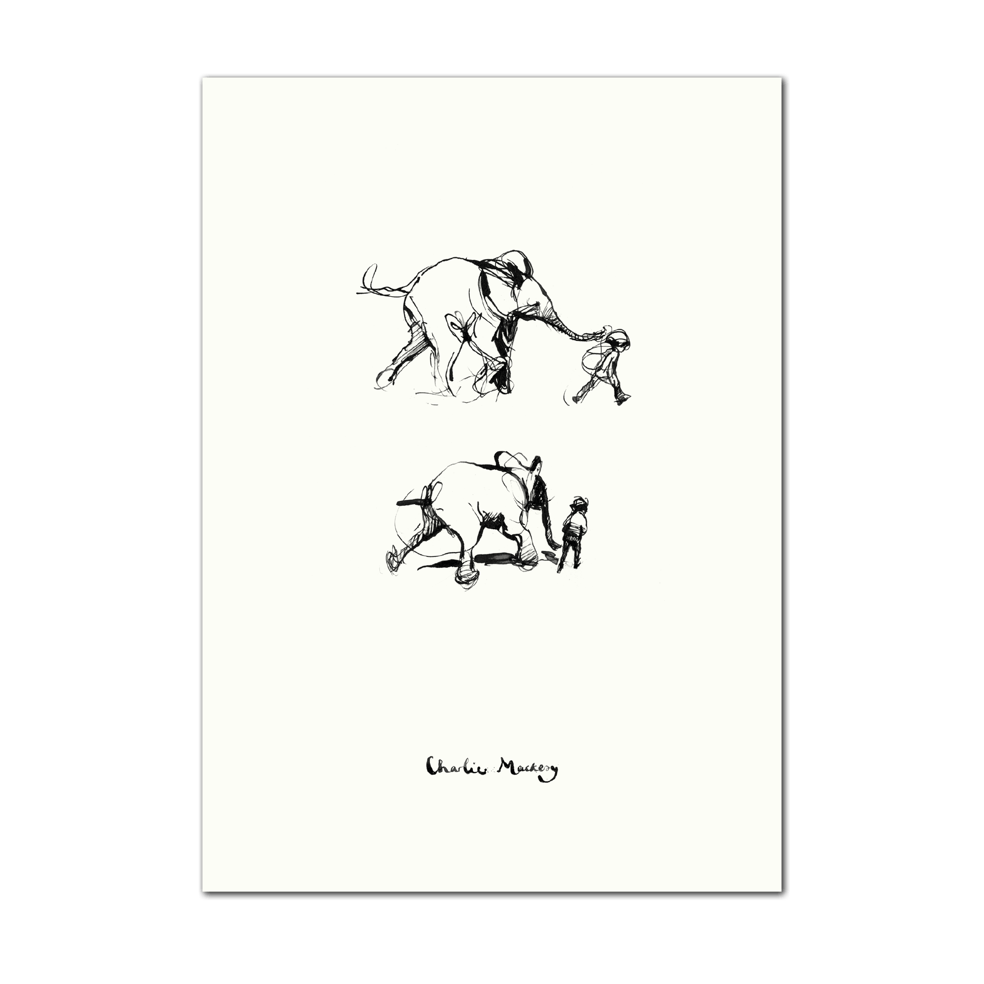 The boy running with the elephant
