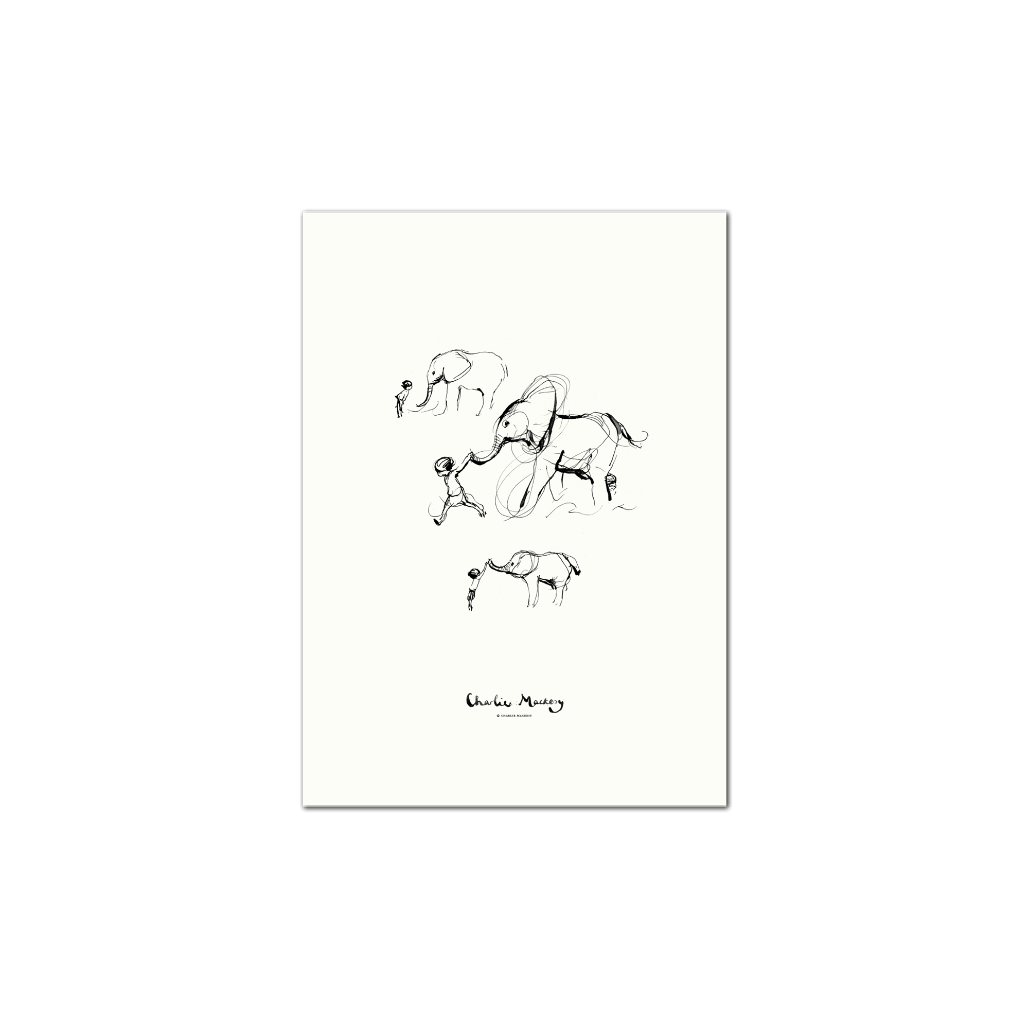 The boy and the elephant