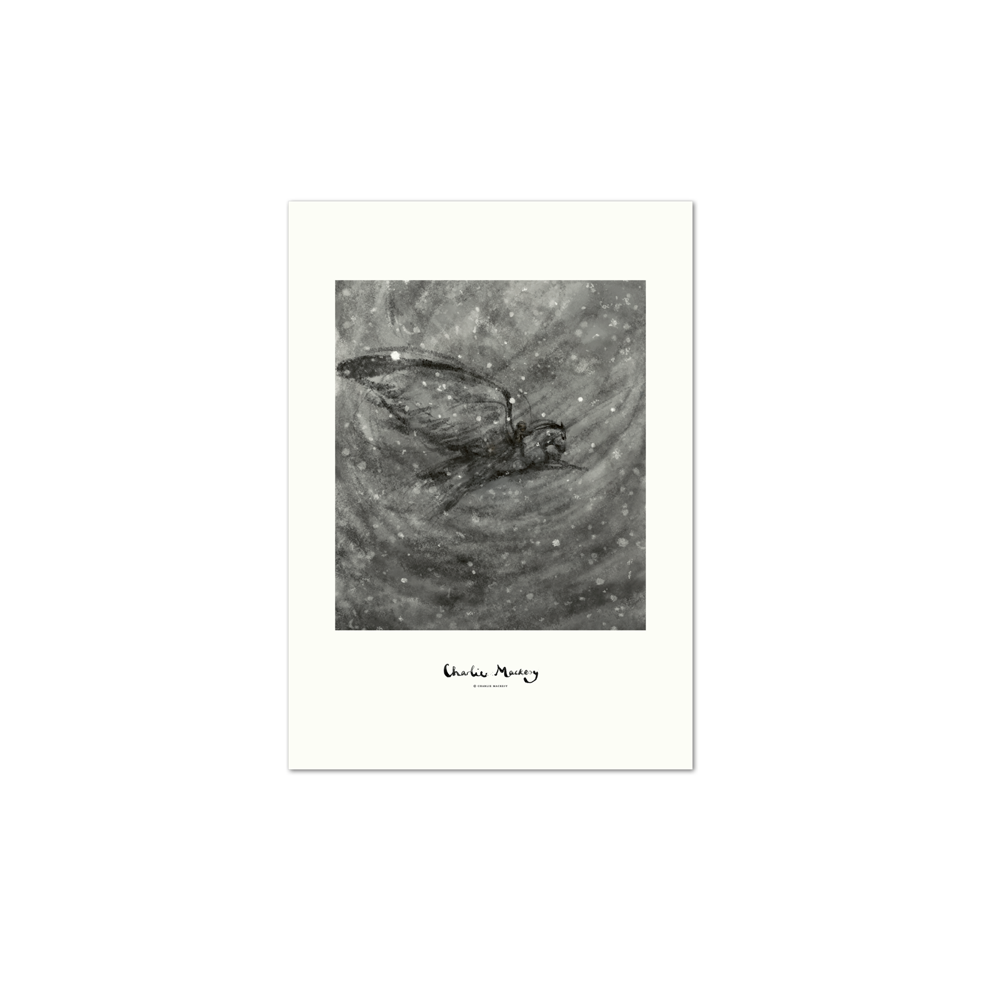 Flight through the storm