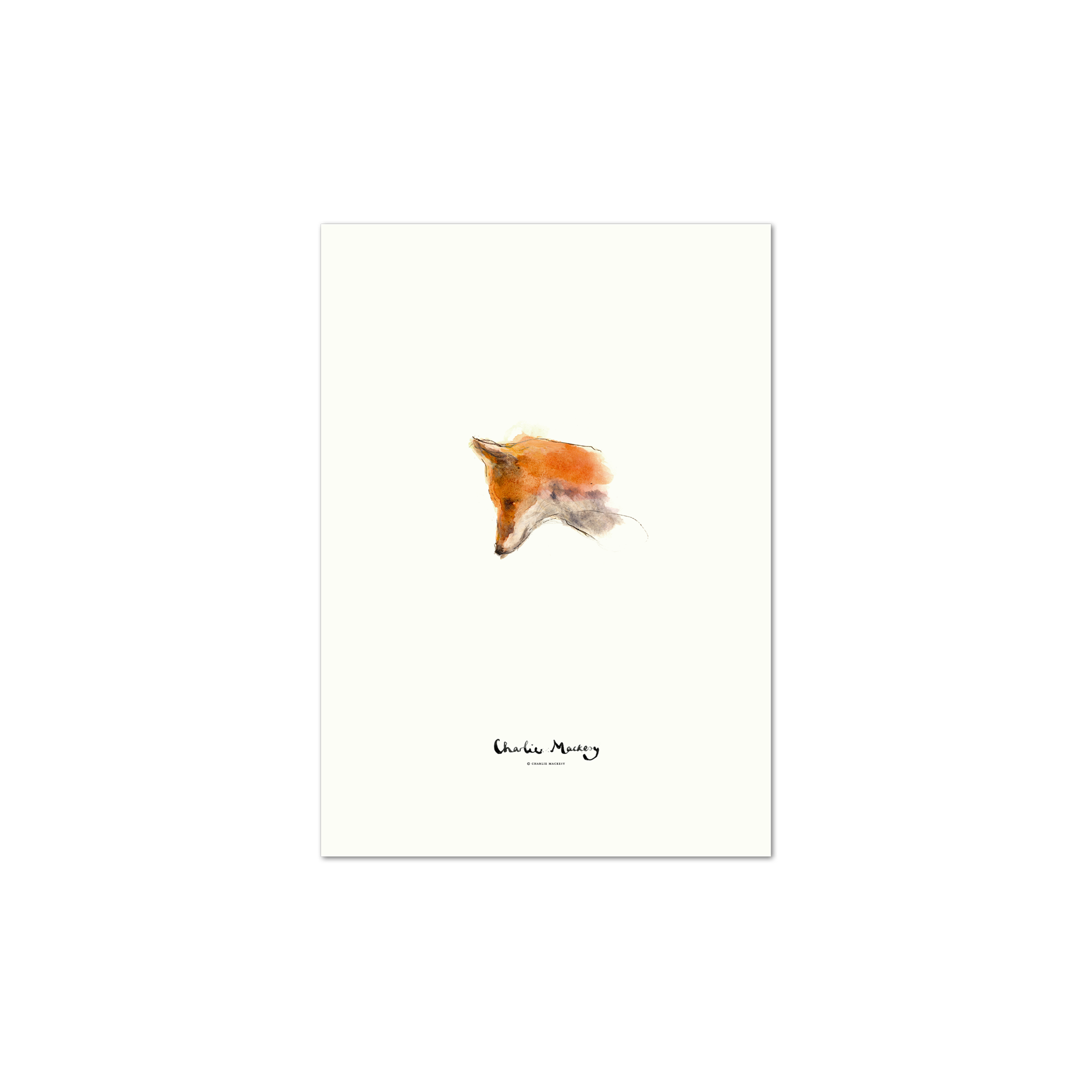 The fox